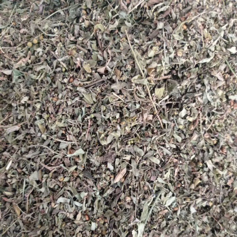 

Daun Meniran Murni kwalitas premium 1 kg