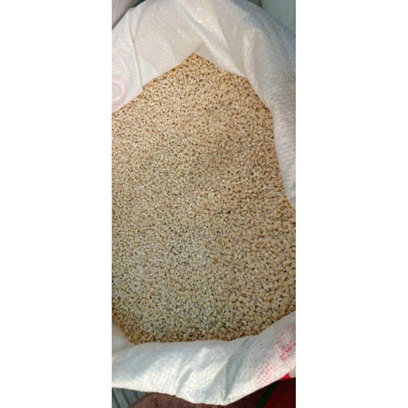 

NEW!! Jali Jali/Pearl Barley 50gram