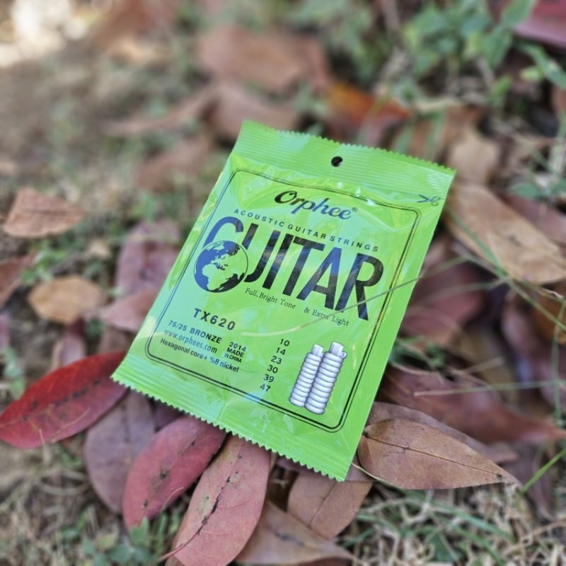 SENAR GITAR AKUSTIK ORPHEE TX-620