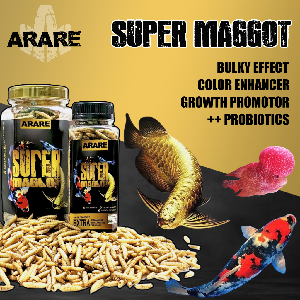 ARARE super maggot magot series BESAR BSF larva kering pakan makanan ikan koi channa louhan oscar ch