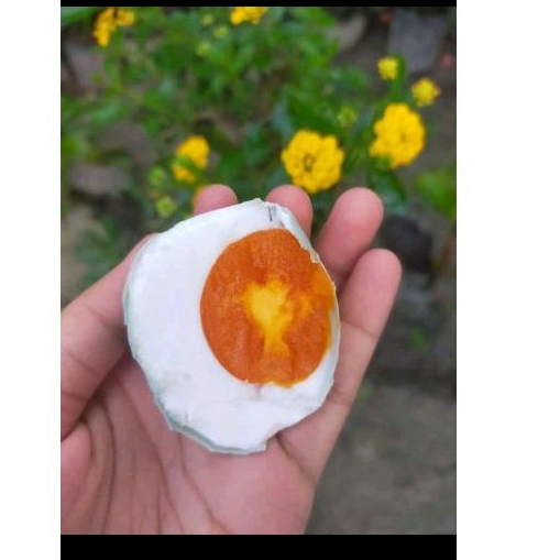 

Telur Asin / Telur Bebek Asin