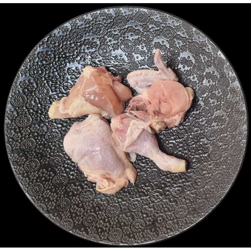 

ayam potong segar