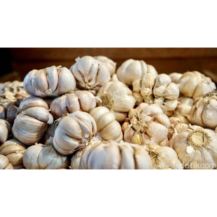 

bawang putih segar import 1 kg kondisi kotor belum dibersihkan