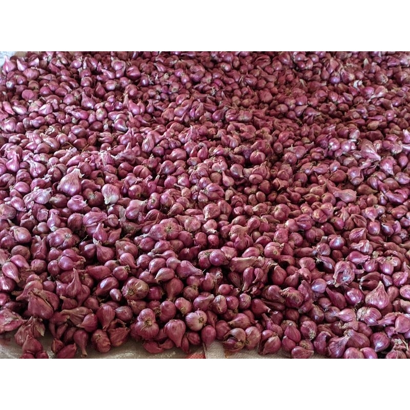 

bawang merah 20.000/kg