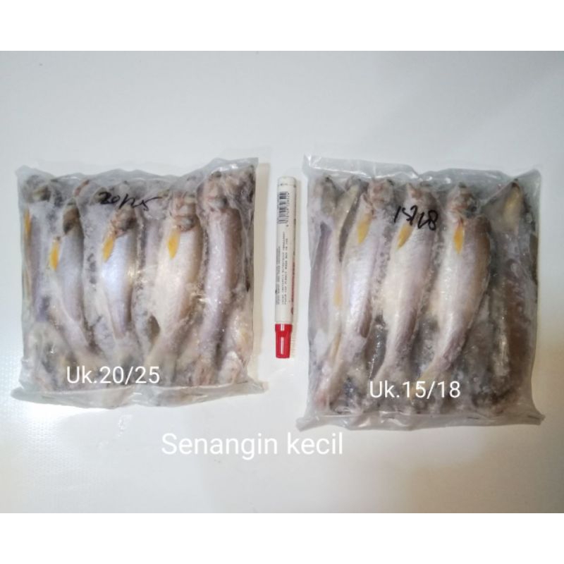 

senangin kecil sz 20/25ekor