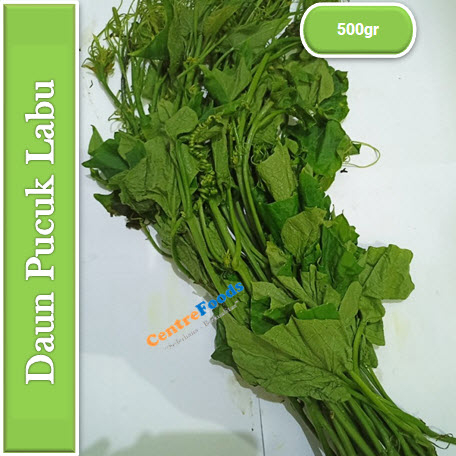 

Sayur Pucuk Labu Fresh - Daun Pucuk Labu | 500gr [ Harga Per 0,5 Kg ]