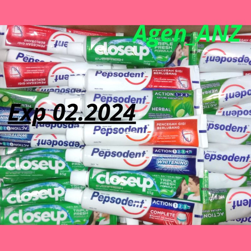 Pepsodent action 123 Herbal nature essentials 120g Pepsodent pencegah gigi berlubang 120g close up a