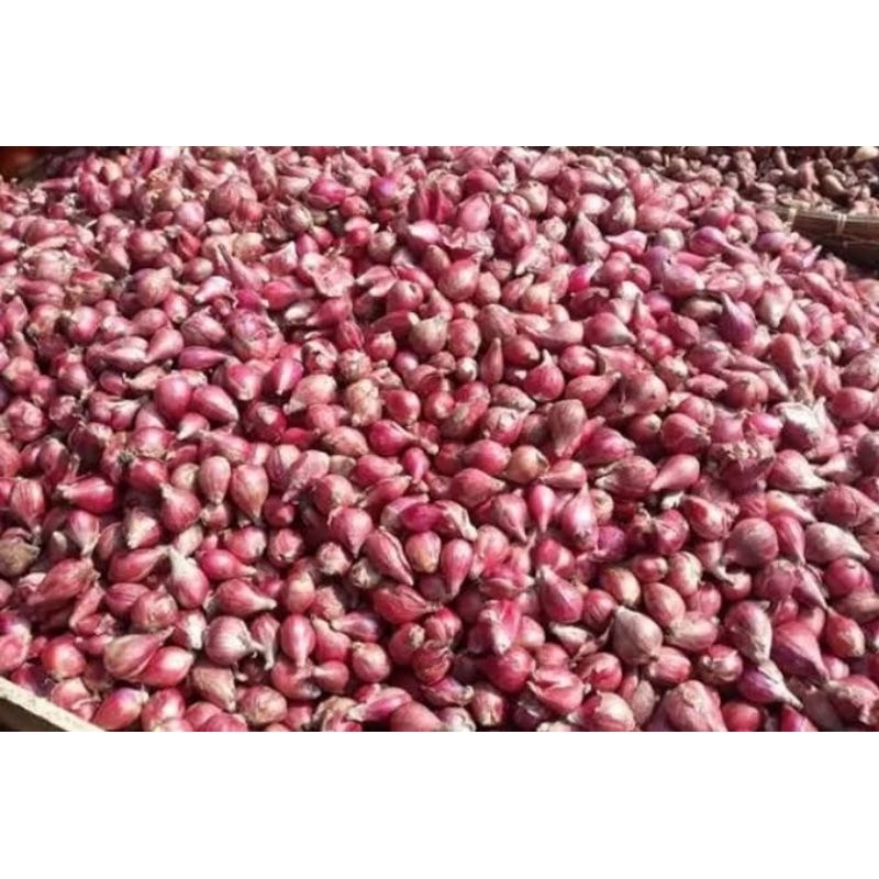 

Bawang Merah Asli Brebes Berkualitas