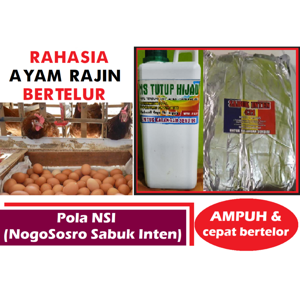 Vitamin Ayam/Bebek Petelur SI 421 dan NogoSosro Ampuh Cepat Bertelur