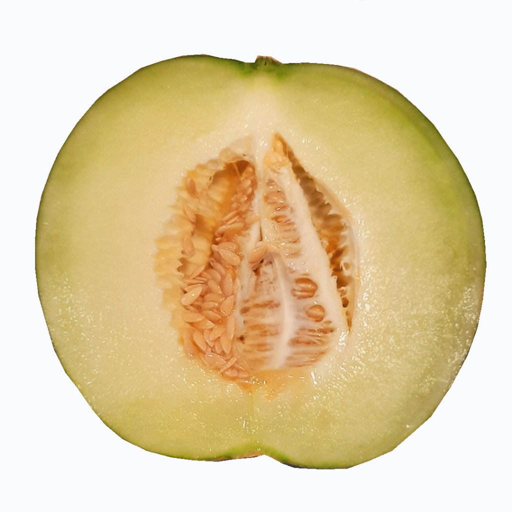 

MELON SKYROCKET (PCS) +/- 2.1 KG (3033)