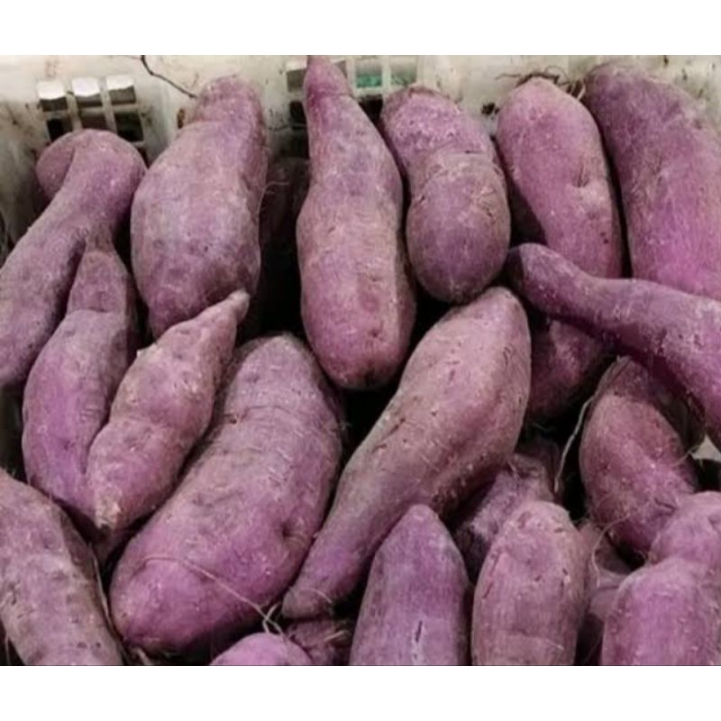 

ubi ungu 500gr