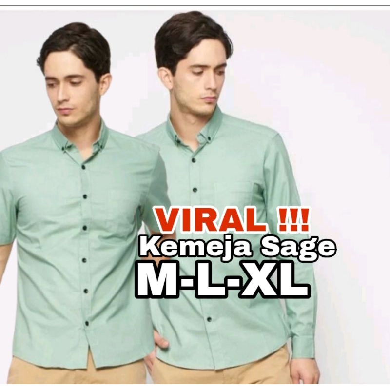 Kemeja Sage Green Kemeja Hijau Sage