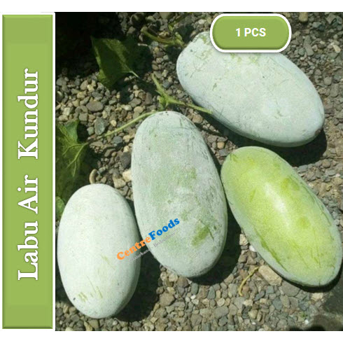 

Labu Kundur TungKua Segar - Labu Air Beligo Fresh | Size 1-2 Kg [ Harga Per PCS ]