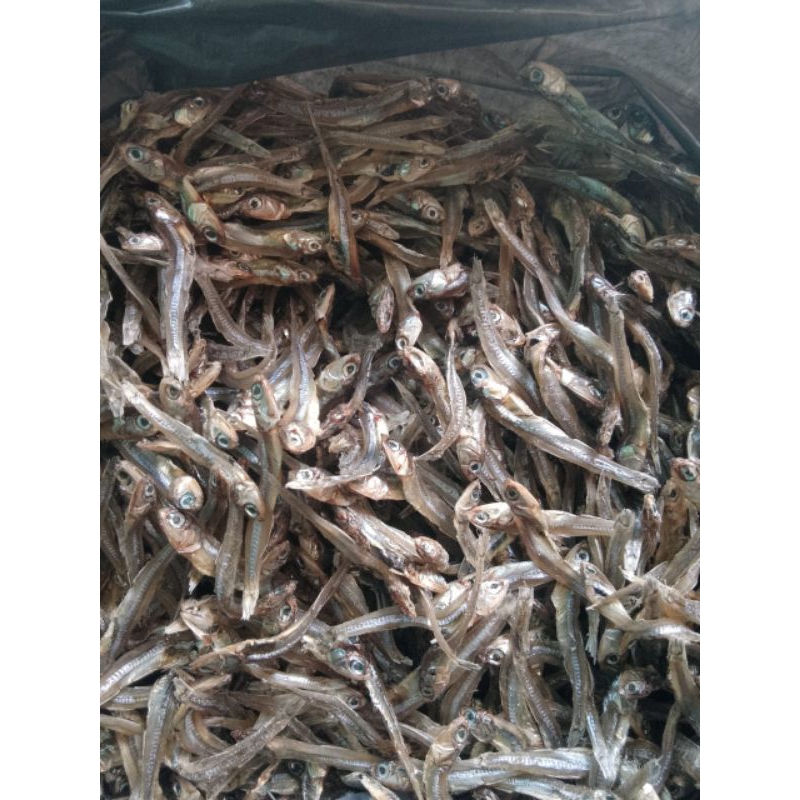 

Bada/Maco tawa 100 gr kering Tidak asin ukuran sedang