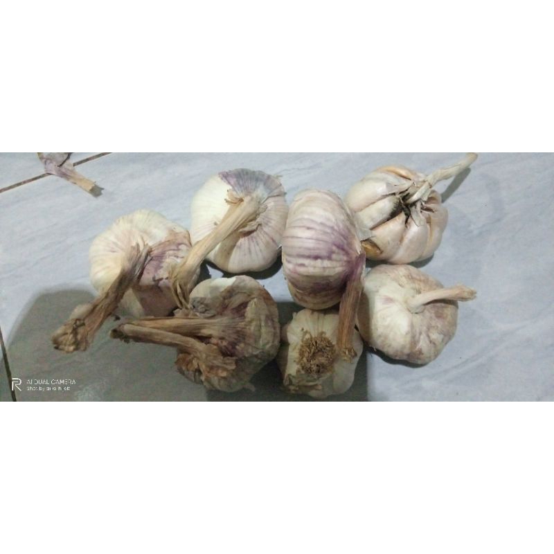 bawang putih 1 kg