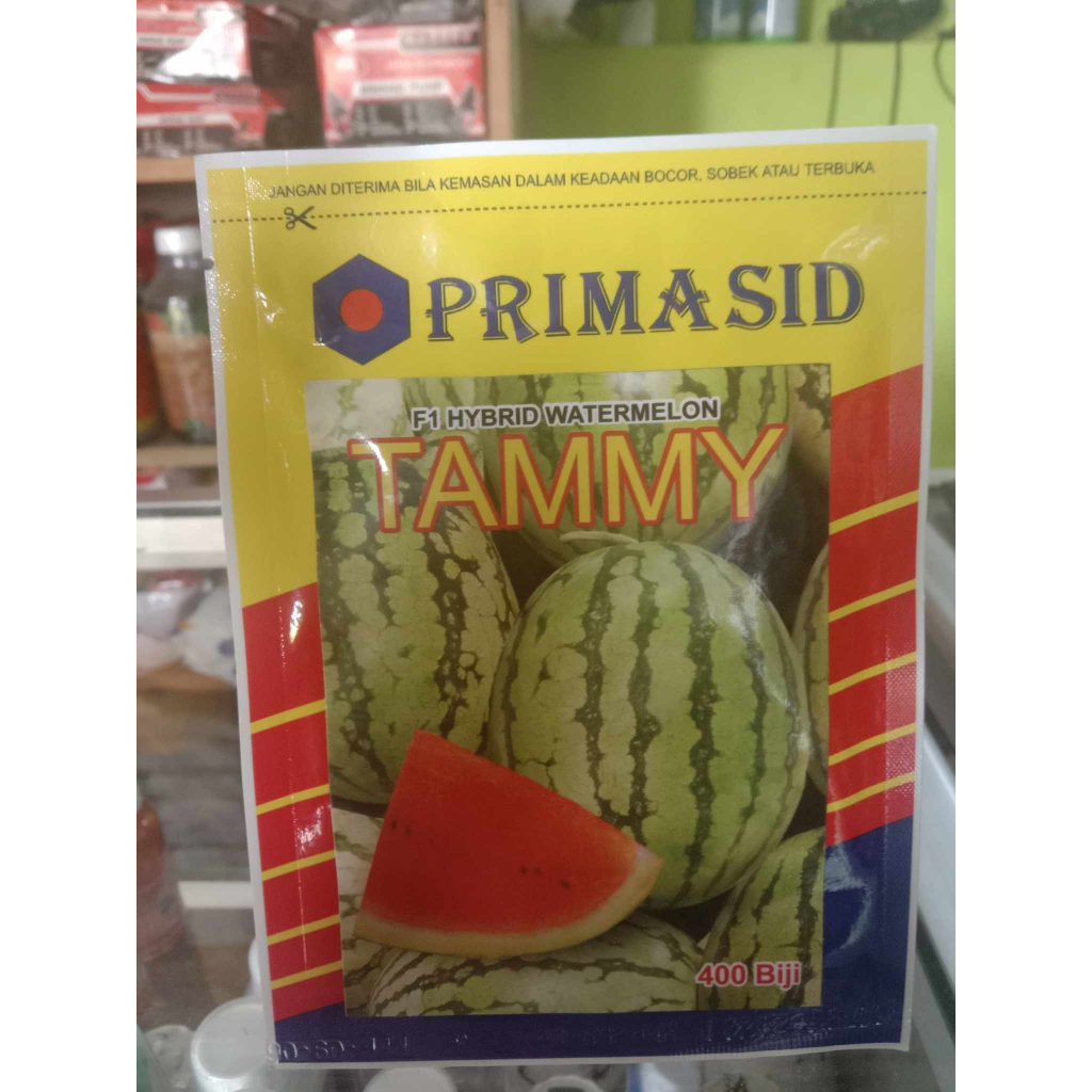 Benih Semangka Tammy Primasid