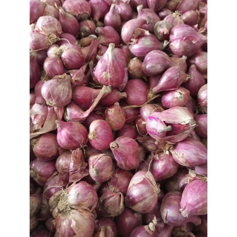 

Bawang Merah Murah