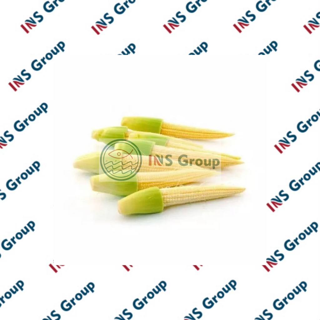 

Jagung Semi 250gr / Sayur Sayuran Segar