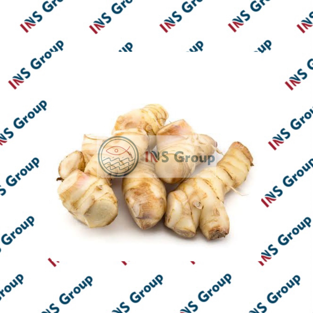 

Kencur Super 50gr / Cikur