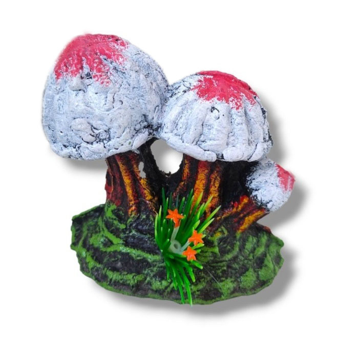 Hiasan jamur shitake aquarium, jamur shitake aquarium, dekorasi aquarium jamur, hiasan aquarium jamu