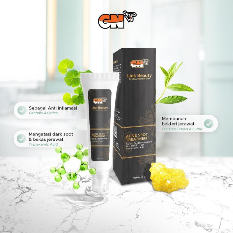 Acne dark spot GN13 / obat totol jerawat GN 13/ Jerawat/ Acne