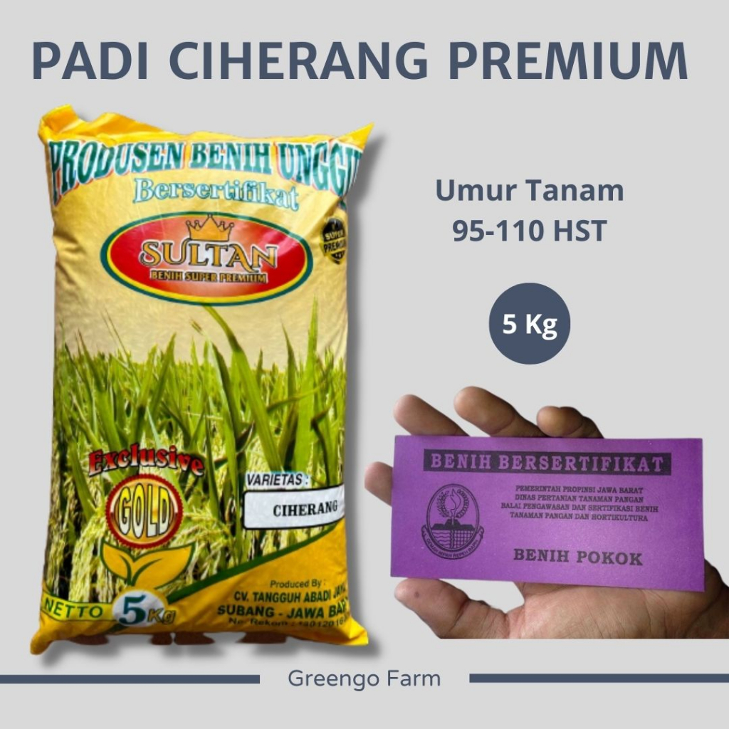 Benih Padi Varietas Ciherang Super Jumbo 5 Kg