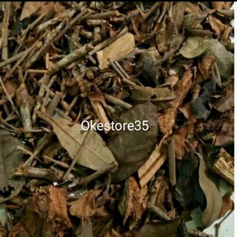 

Benalu kopi kering termurah