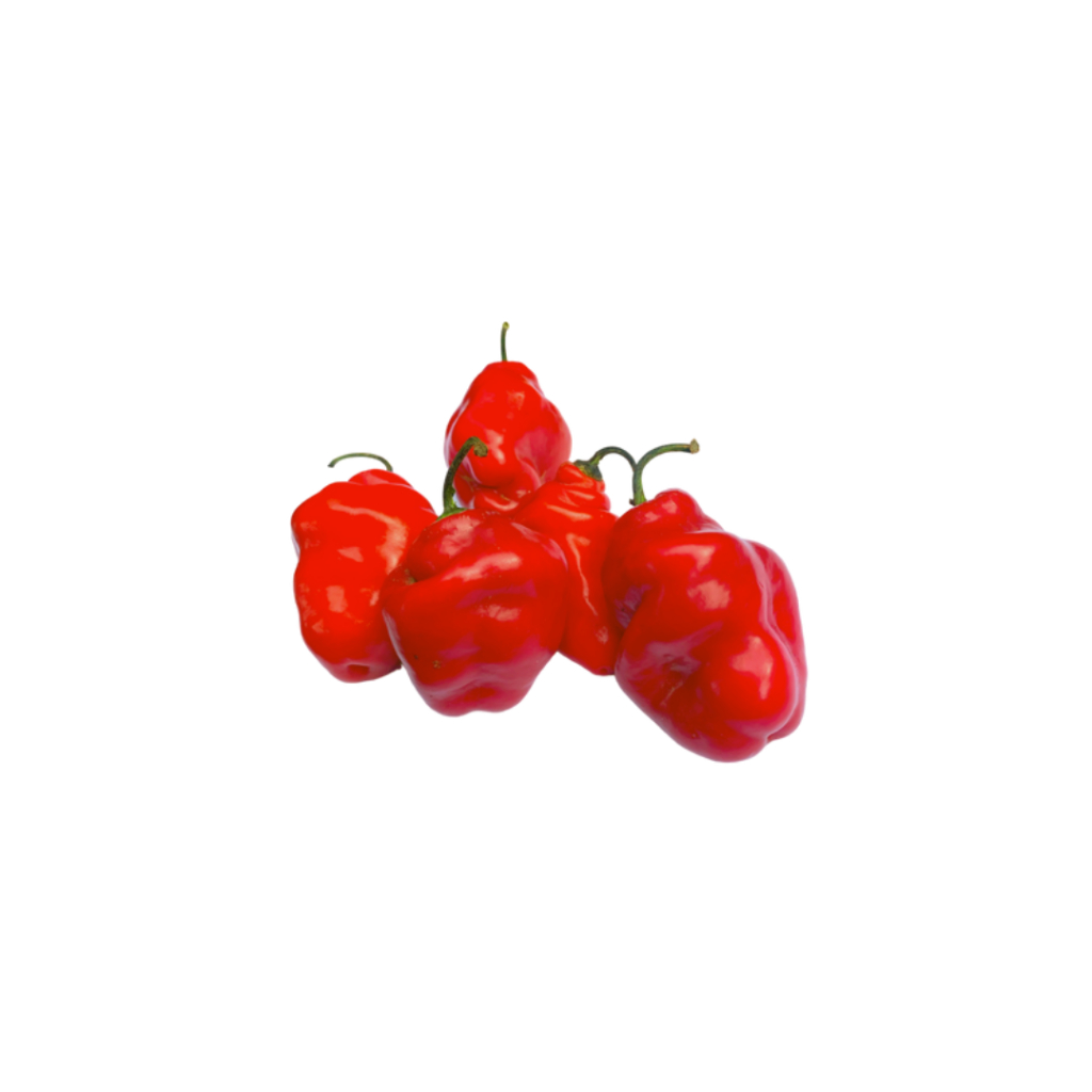 

Cabe gendot merah 100 gr