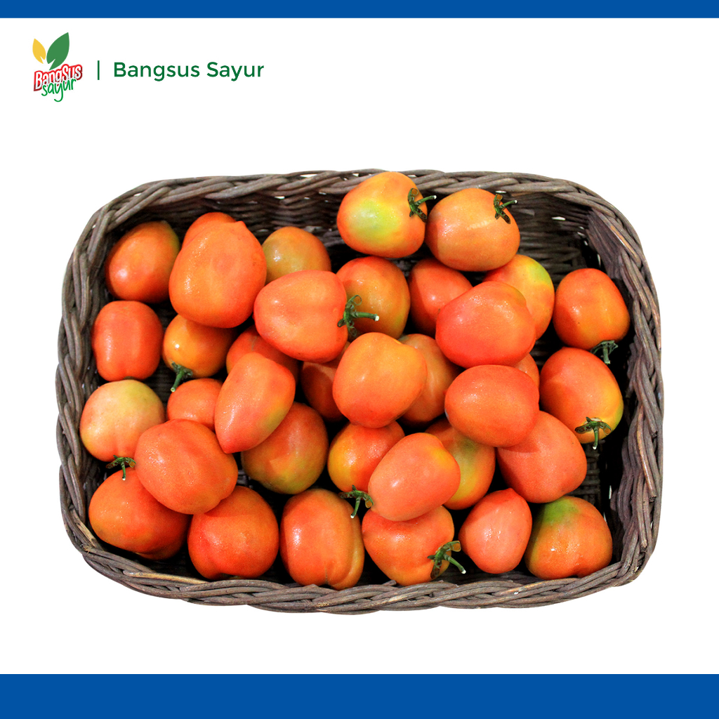 

Tomat Buah 1Kg Segar Murah