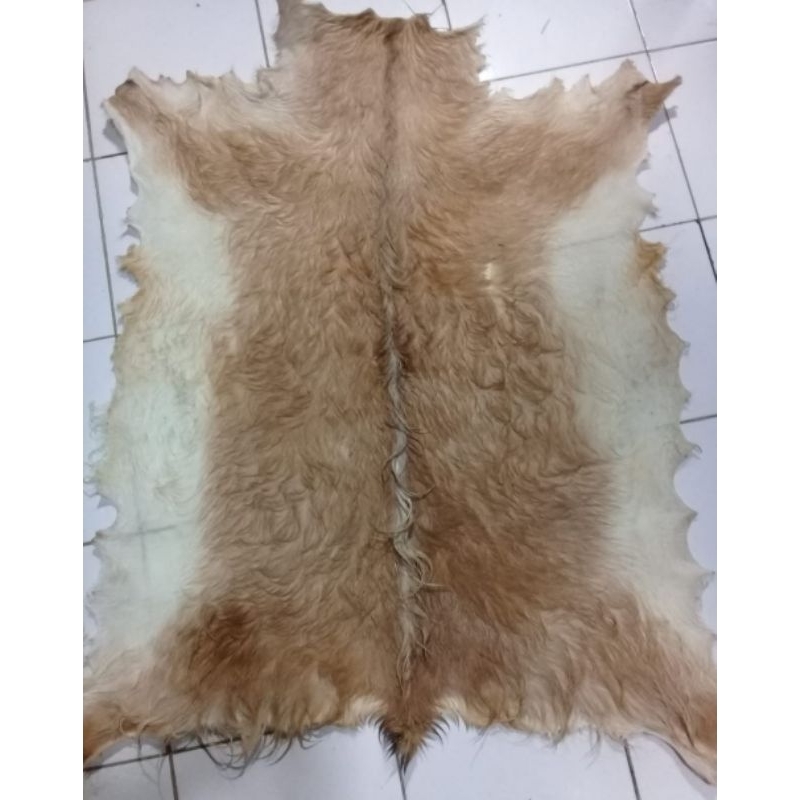 KULIT  KAMBING LEMBARAN 1METER