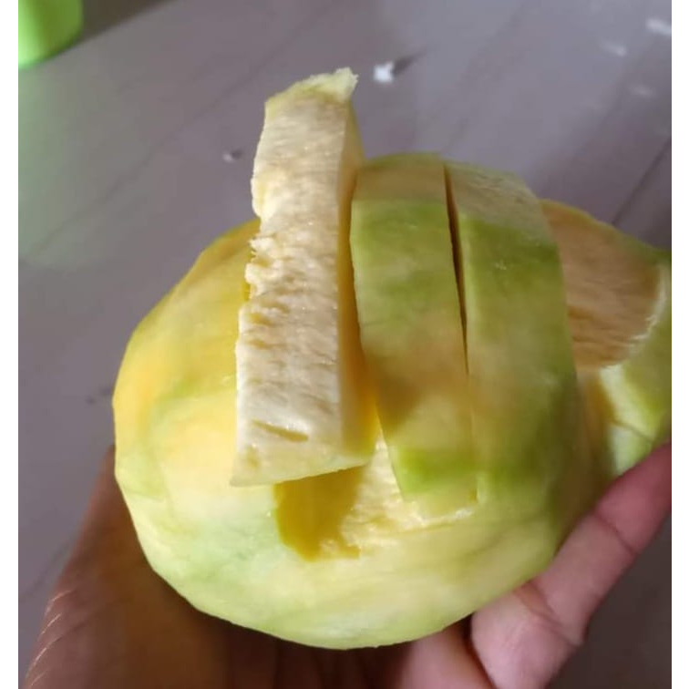 

1 KG MANGGA INDRAMAYU MENGKAL UNTUK RUJAK DAN ASINAN