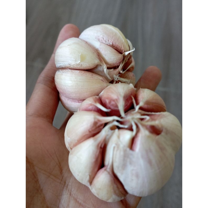 

bawang putih 1kg