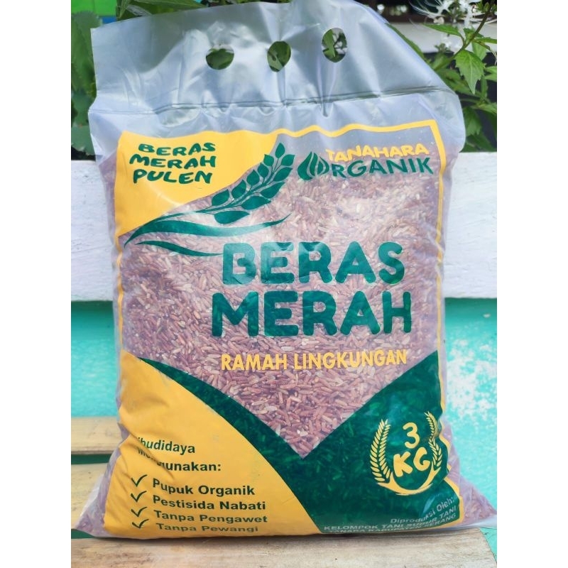 

Beras Merah Organik