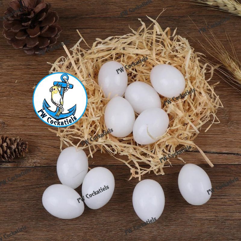 Telur Palsu Burung Merpati / Telor Mainan Burung Dara Pos