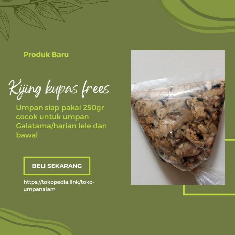 kijing air tawar fress tanpa cangkang