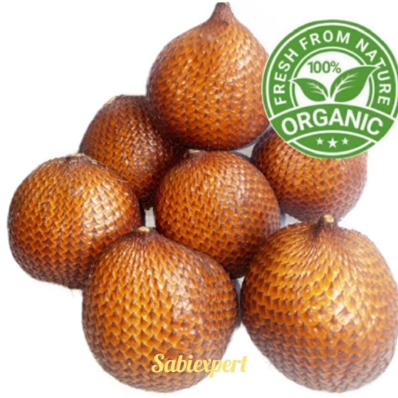 

Salak Bali Asli Size GEDE Asam Manis Sepat (1Kg)