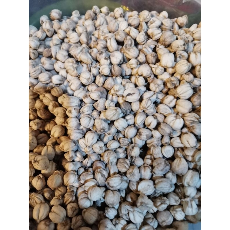 

KAPULAGA 25gr