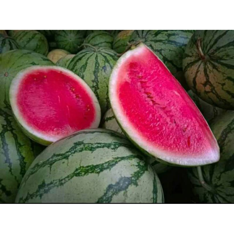 

Semangka Merah Non Biji Fresh 1 buah