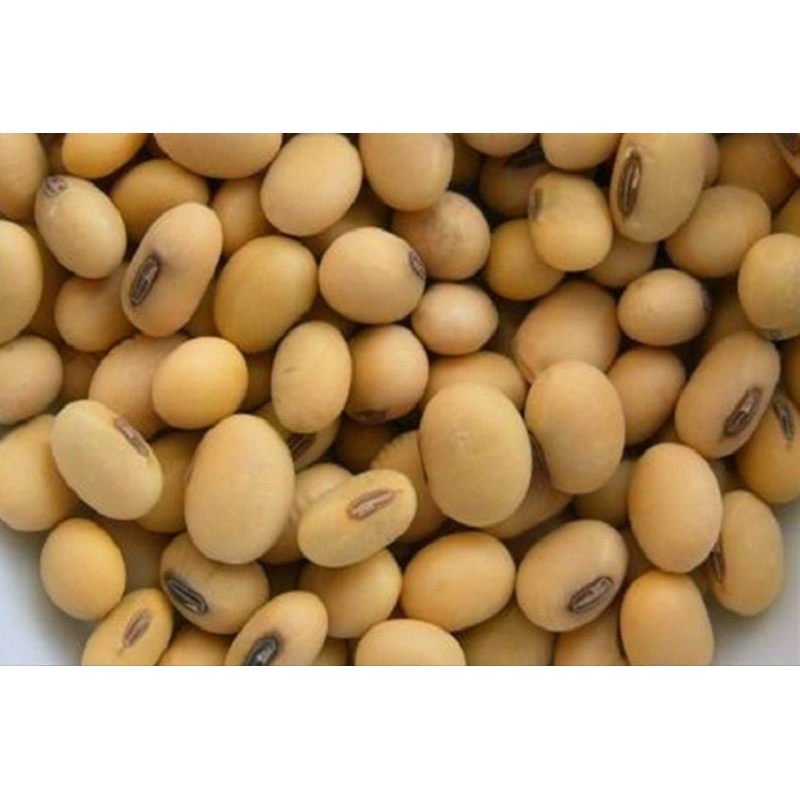

500 gram KACANG KEDELAI MENTAH SUPER