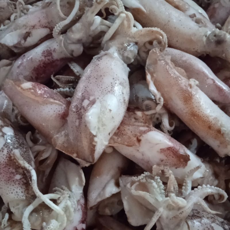 

Ikan asin cumi rebus/sotong rebus size jumbo berat 250 gram