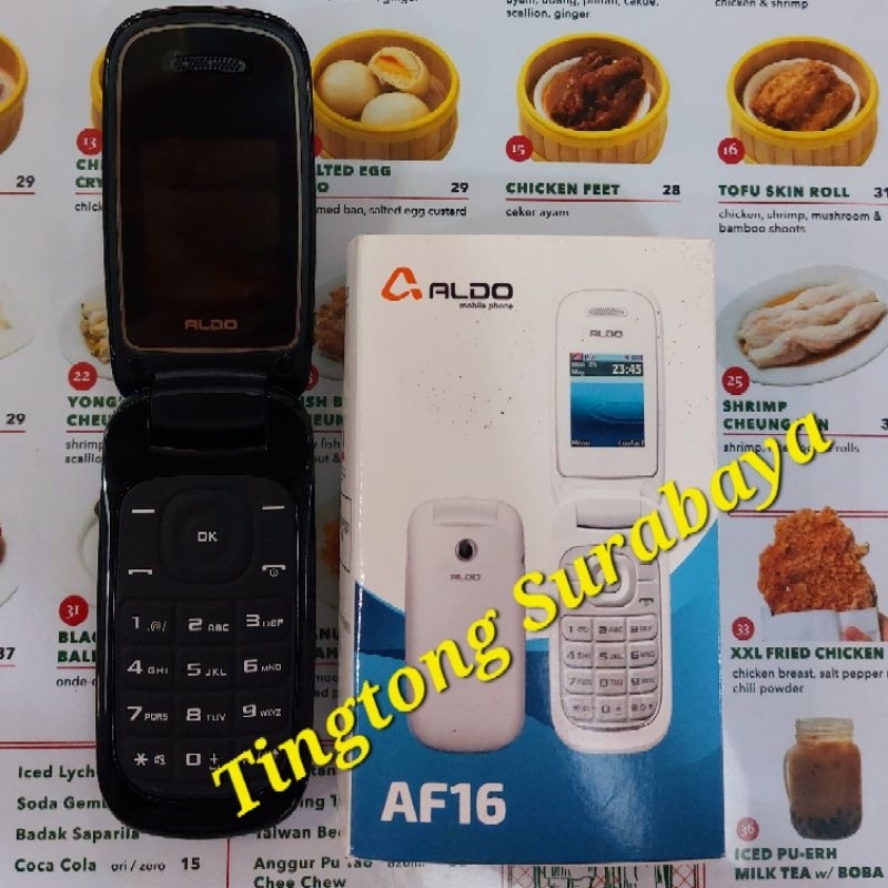 Aldo Flip Phone Dual Sim AF16