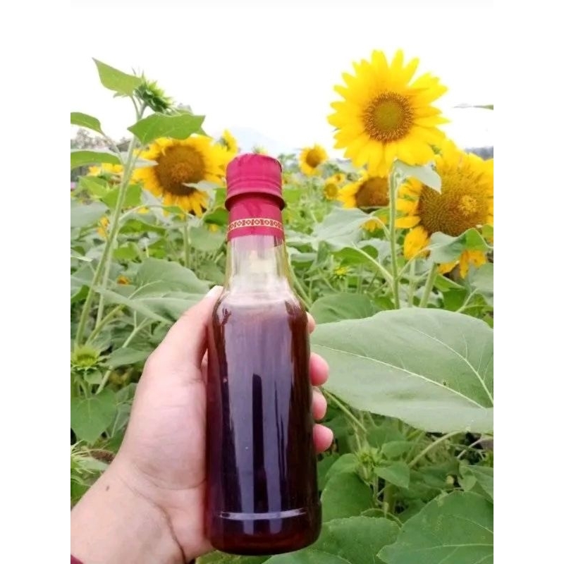 

madu hutan murni enak dan menyehatkan