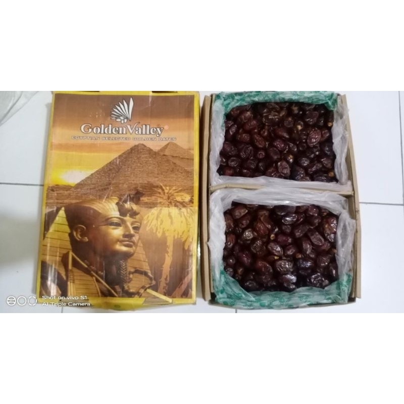 

kurma barari/golden/giza mesir bagus murah berkualitas