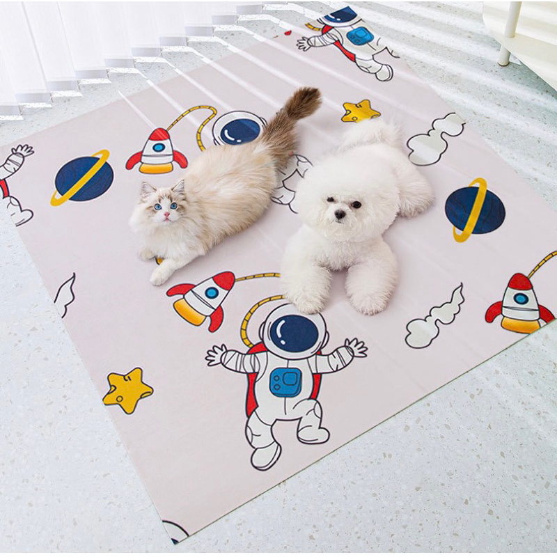 Korea waterproof pet mat