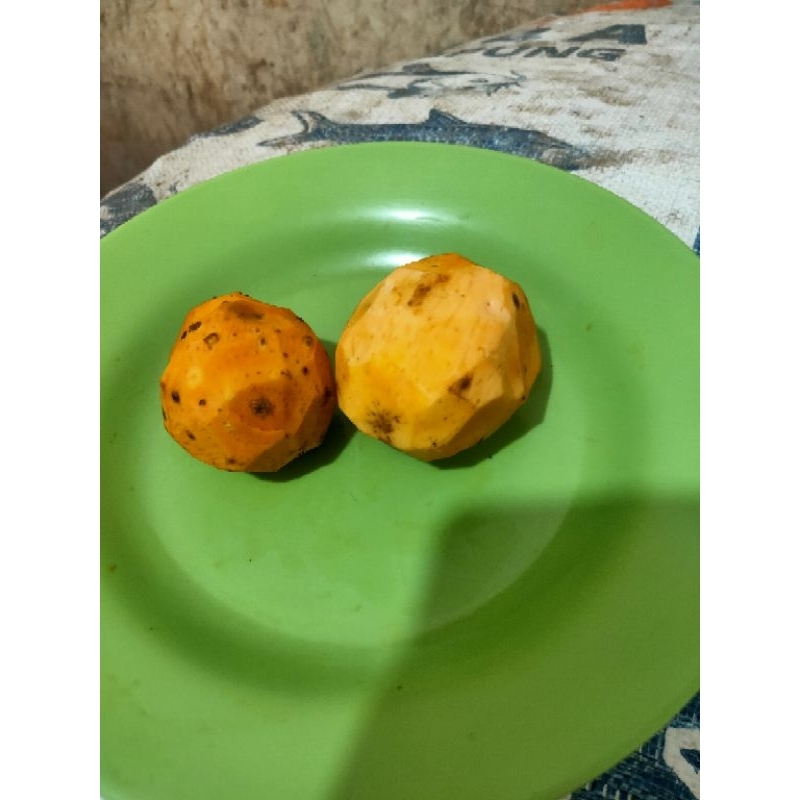

temulawak kupas