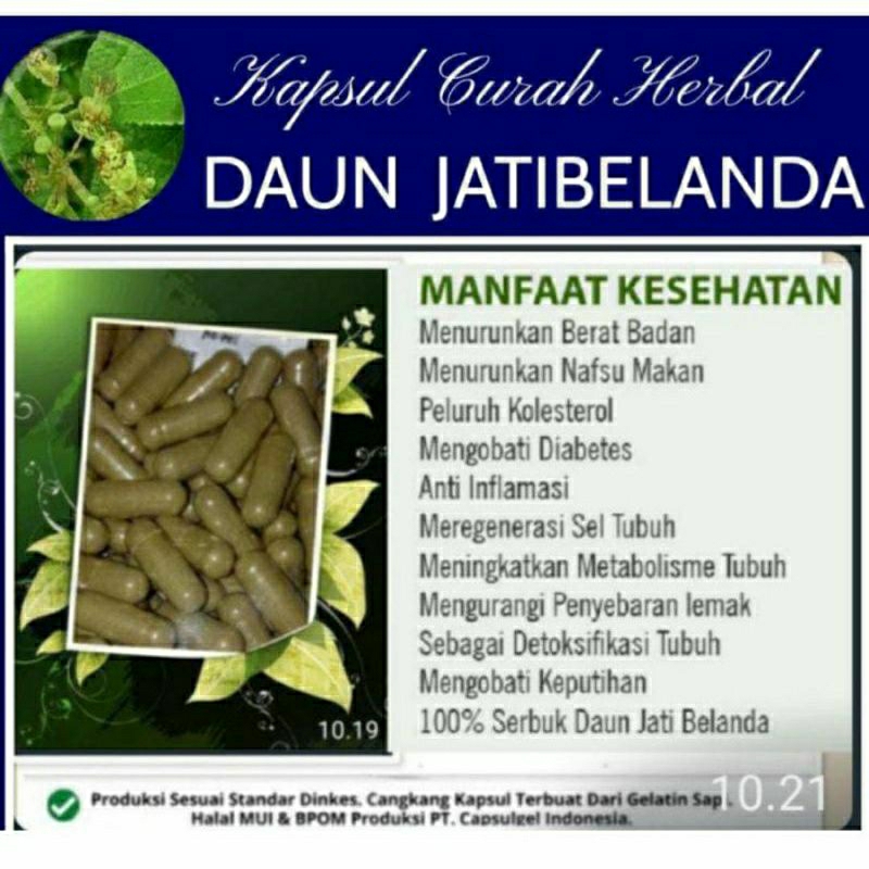 

JATI BELANDA 100 KAPSUL OBAT HERBAL ALAMI (GRADE A5)