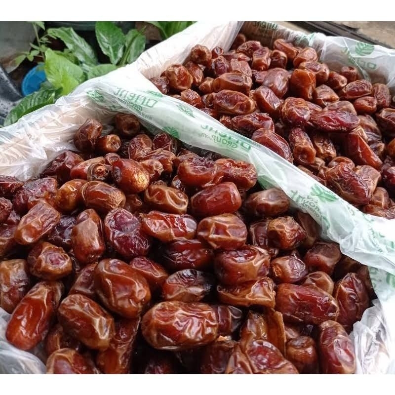 

kurma orient (golden valley )