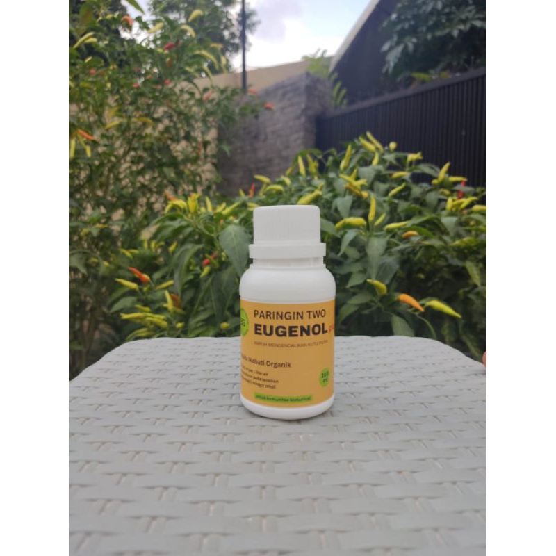 Pestisida Nabati Organik - Pembasmi Kutu Putih (bemisia tabaci) dan Semut