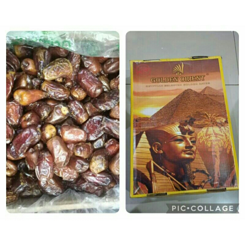 

Kurma Golden Orient*Ukuran besar,Dijual per Dus.berat 10kg. tekstur lembut dan rasa yang manis.Berat bruto 10 kg. Barang baru metik. Produksi Januari 2023Exp Juli 2024