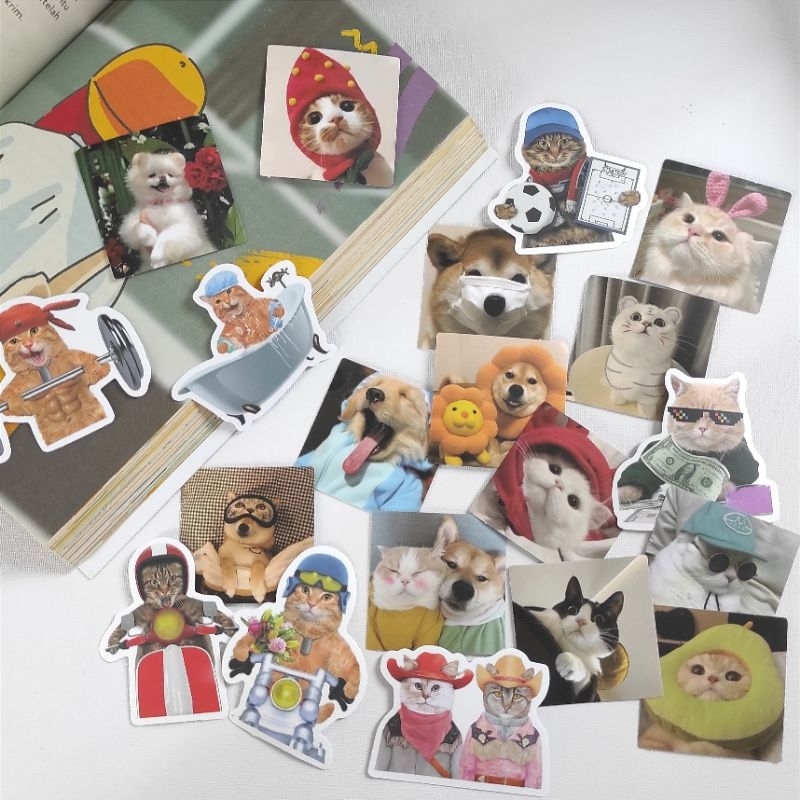 

STICKER DECO SET MOTIF CAT/DOG KUCING/ANJING